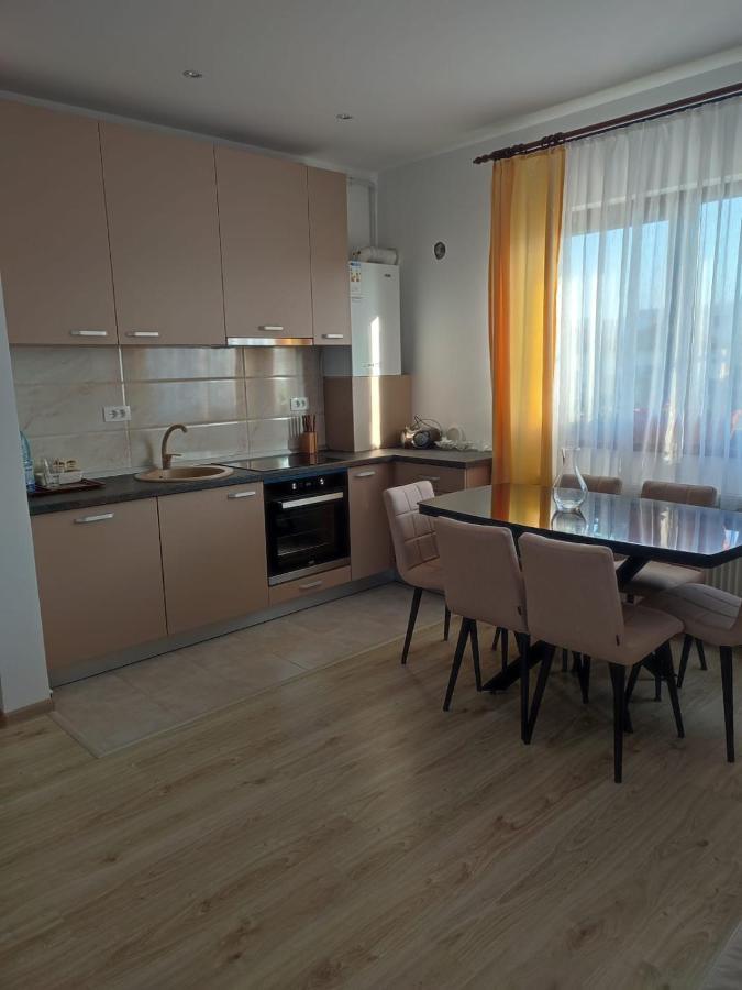 Marina'S House Apartment Ghimbav Exterior photo